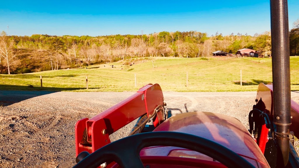 Old Holler Farm | 2350 Memorial Industrial School Rd, Rural Hall, NC 27045, USA | Phone: (336) 918-4320