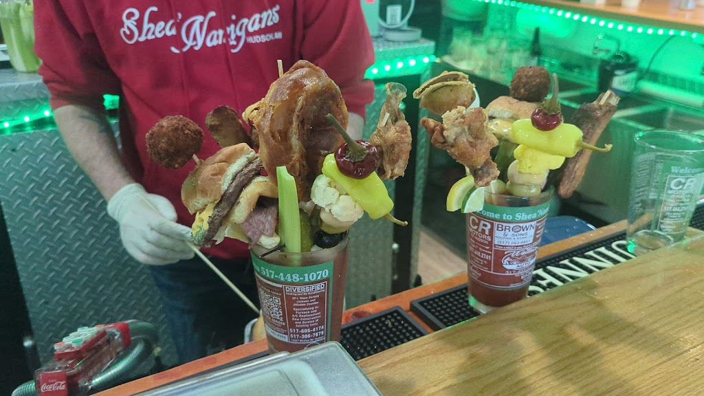 SheaNanigans | 521 S Meridian Rd, Hudson, MI 49247, USA | Phone: (517) 448-1070