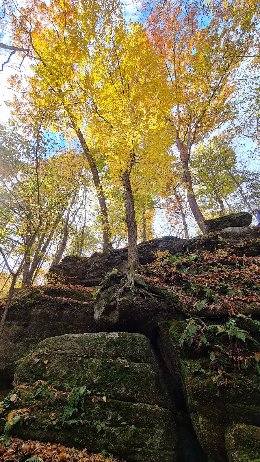 Nelson-Kennedy Ledges State Park | 12440 OH-282, Garrettsville, OH 44231, USA | Phone: (330) 235-0030