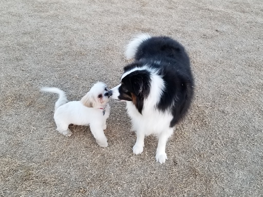 Ruff Range Dog Park | Memorial Road, 5335 4th Army Dr, Frisco, TX 75034, USA | Phone: (972) 292-6500