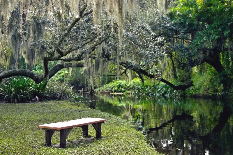 Frog Creek Campground | 8515 Bayshore Rd, Palmetto, FL 34221, USA | Phone: (941) 722-6154