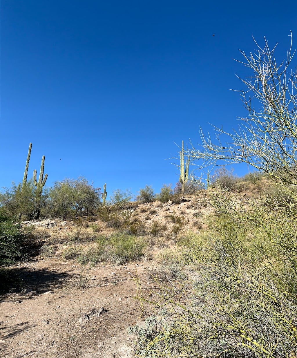 Desert Tortoise Campground | Peoria, AZ 85383 | Phone: (928) 501-1710