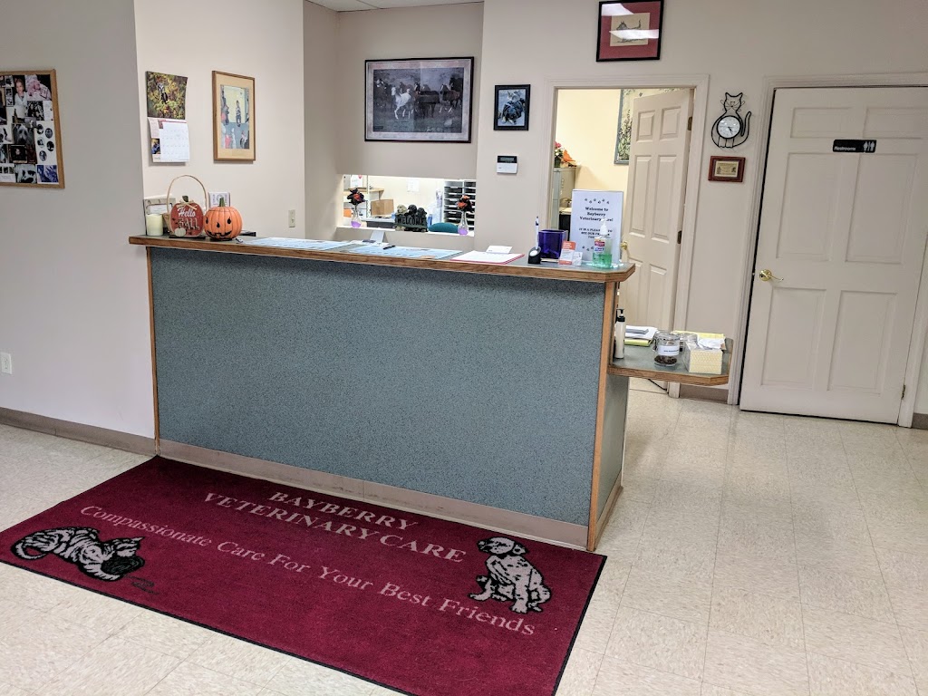 Bayberry Veterinary Care | 637 Loudon Rd # 4, Latham, NY 12110, USA | Phone: (518) 783-9282