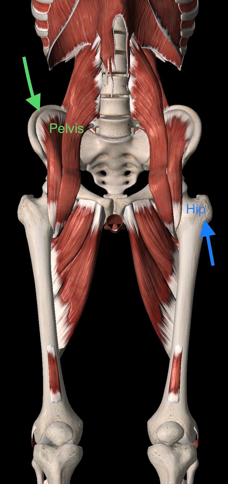 Core Pelvic Floor Therapy | 15375 Barranca Pkwy #A104, Irvine, CA 92618, USA | Phone: (949) 552-5535