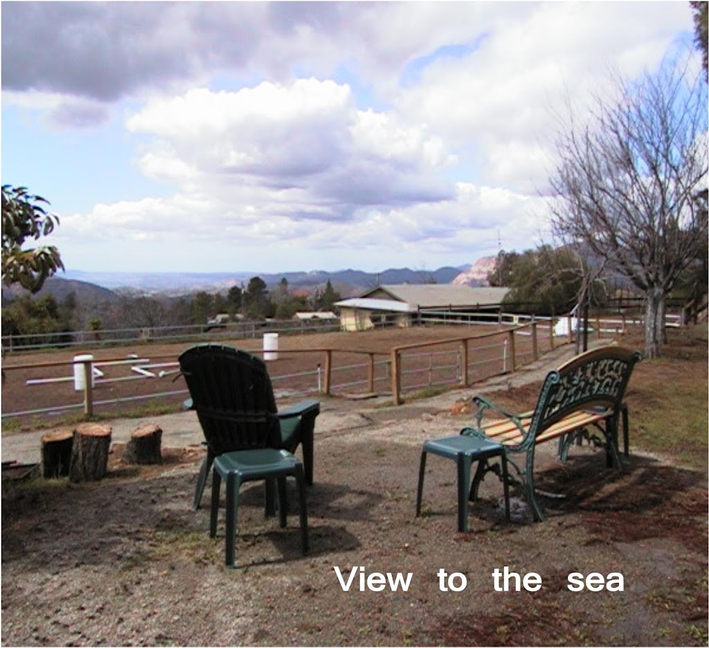 Dream Rider Equestrian Therapy | 543 Anderson Rd, Alpine, CA 91901, USA | Phone: (619) 445-2576