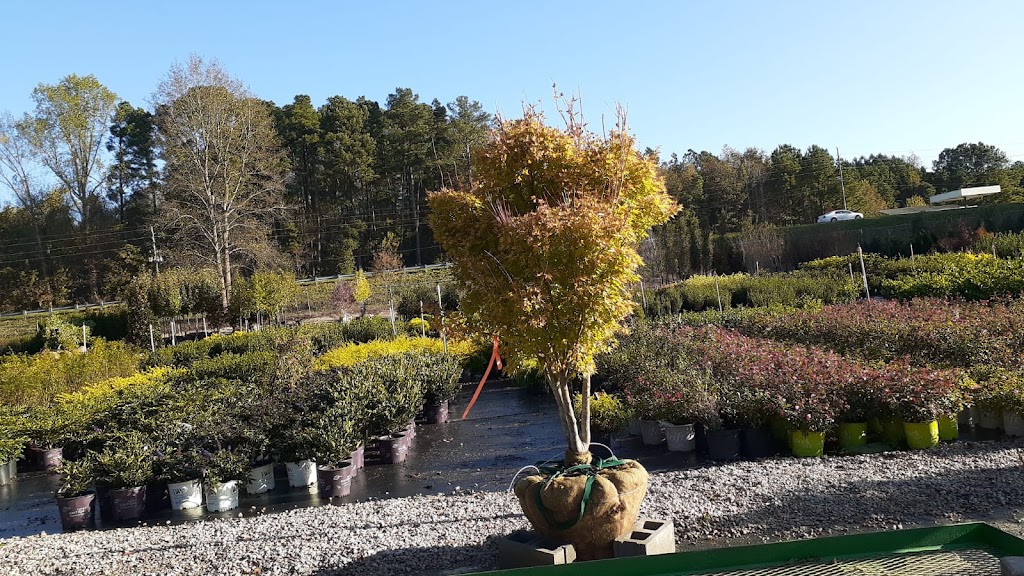 Southern Oak Nursery & Supply Co. (wholesale To Trade Only) | 2609 Marks Creek Rd #8236, Knightdale, NC 27545 | Phone: (919) 373-8181