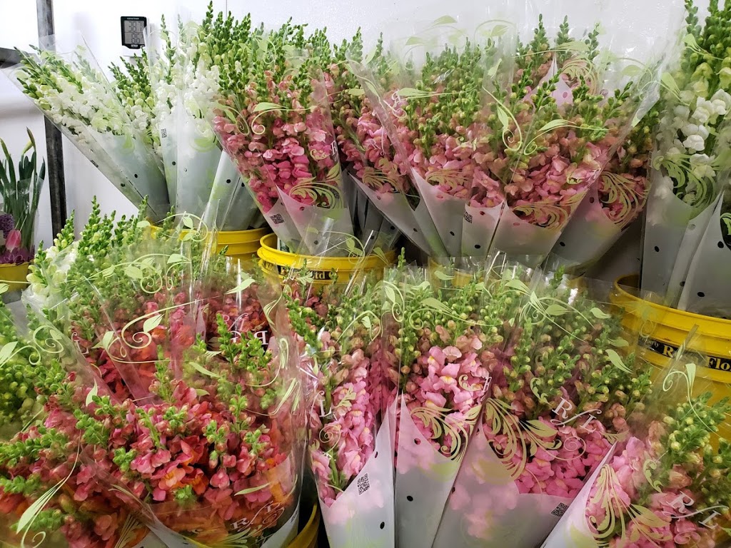 Dreisbach Wholesale Florists | 8021 Warwick Ave, Louisville, KY 40222, USA | Phone: (502) 425-5842