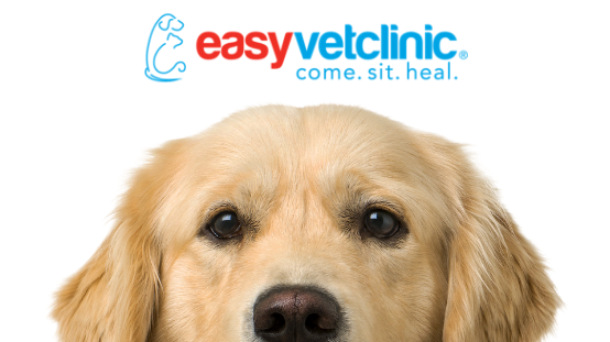 easyvet Veterinarian Overland Park | 10130 W 119th St, Overland Park, KS 66213, USA | Phone: (913) 359-9020