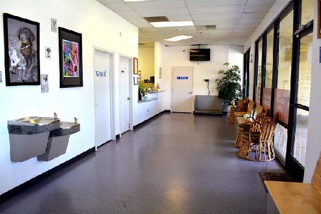 SISK VETERINARY HOSPITAL | 3900 Pelandale Ave #320, Modesto, CA 95356, USA | Phone: (209) 846-9870