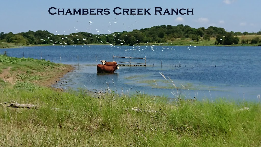 Chambers Creek Ranch | 925 Witten Rd, Italy, TX 76651, USA | Phone: (972) 268-6796