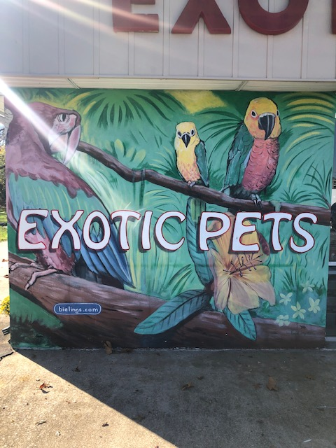 BP Exotic Pets | 551 Route 130 South, Burlington, NJ 08060, USA | Phone: (609) 747-7777