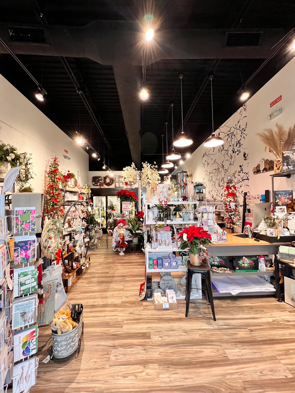 Lavender Lane Flowers and Gifts | 1752 Olive Chapel Rd, Apex, NC 27502, USA | Phone: (919) 355-2647