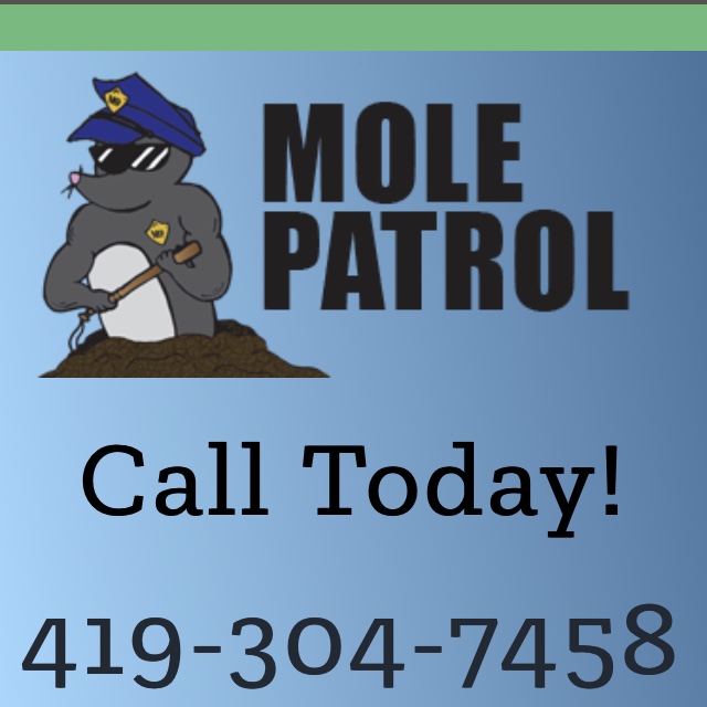 Mole Patrol | 20340 Cross Creek Rd, Bowling Green, OH 43402, USA | Phone: (419) 304-7458