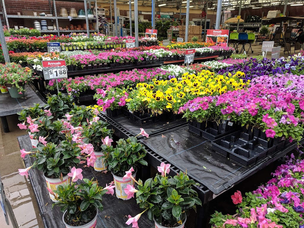 Walmart Garden Center | 555 W Interstate 30, Garland, TX 75043, USA | Phone: (972) 303-5865