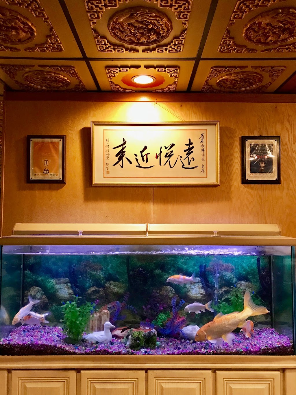 Tasty Cuisine Chinese Restaurant - 著名粵菜城 | 1225 Elmhurst Rd, Des Plaines, IL 60018, USA | Phone: (847) 228-7733