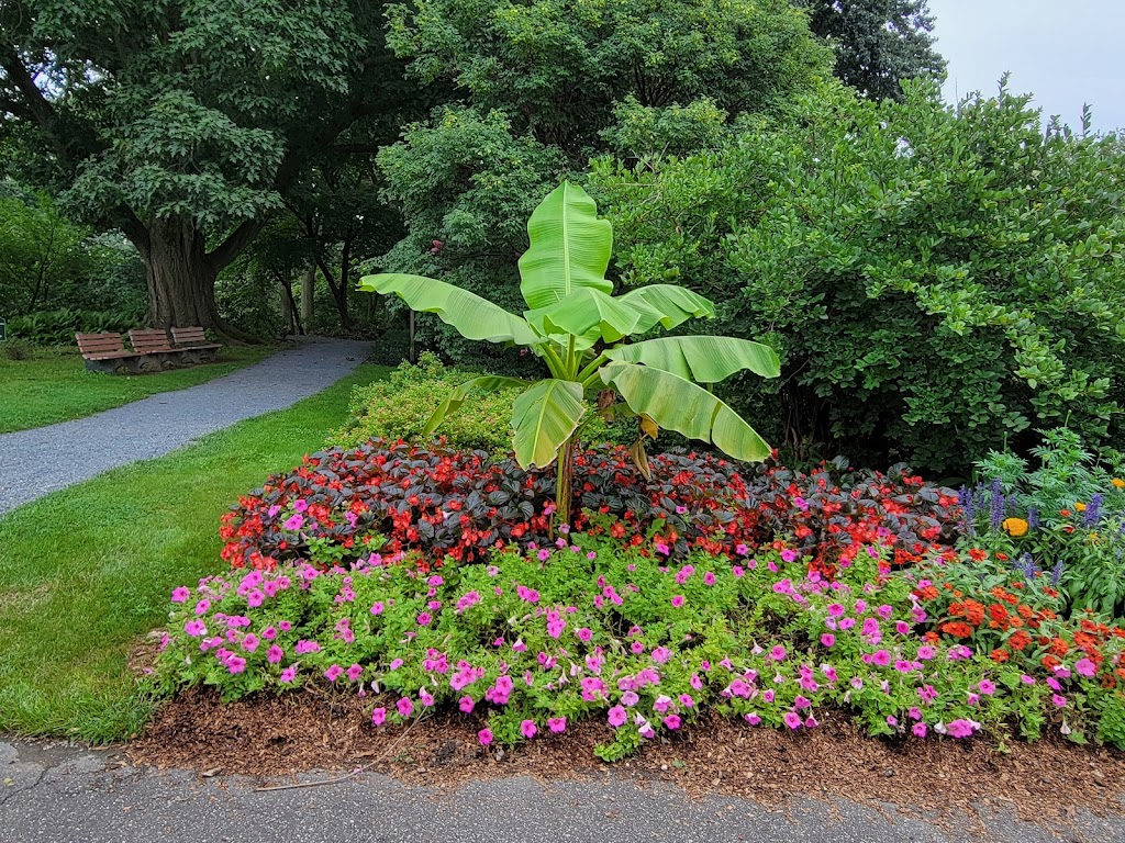 Clark Botanic Gardens | 193 I U Willets Rd, Albertson, NY 11507, USA | Phone: (516) 484-2208