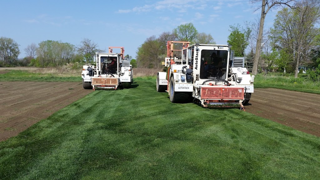 New Lawn Sod Farm, inc | 50200 Martz Rd, Belleville, MI 48111, USA | Phone: (734) 481-0033