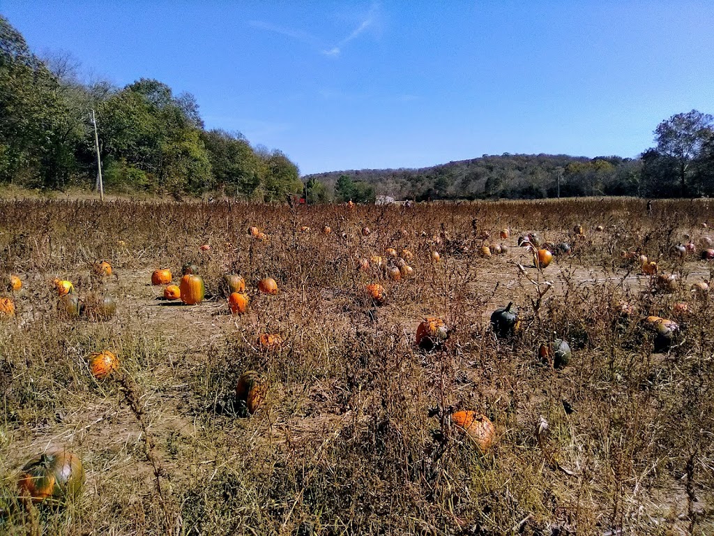 Meert Tree Farm | 14560 Dry Fork Rd, Festus, MO 63028, USA | Phone: (636) 931-3901