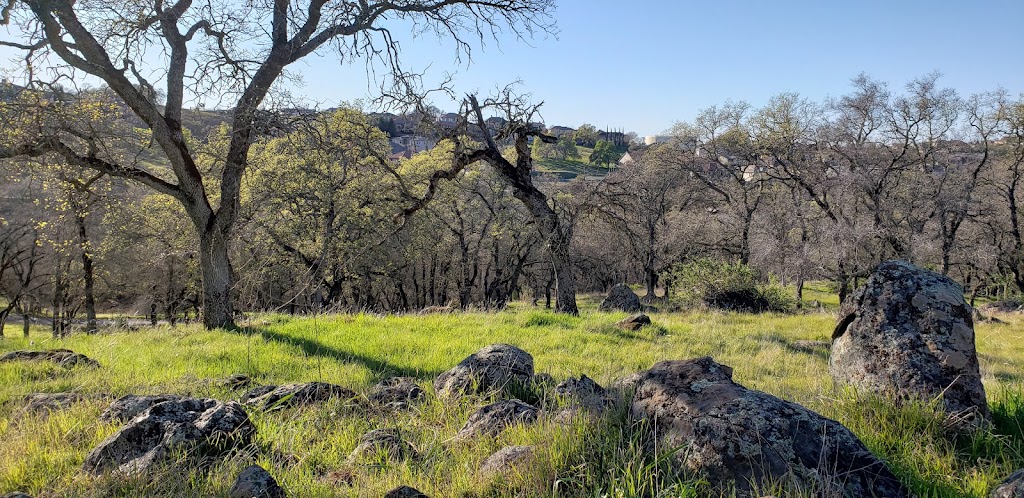 Nisenan Community Park | 700 Golf Links Dr, Folsom, CA 95630, USA | Phone: (916) 461-6601