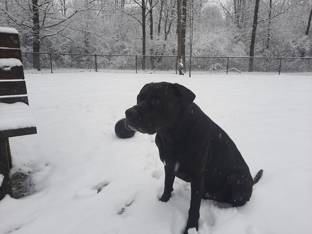 Northville Dog Park | 15801 Beck Rd, Northville, MI 48167, USA | Phone: (248) 349-0203