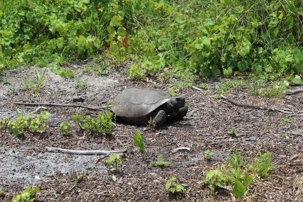 Lake Manatee State Park | 20007 FL-64, Bradenton, FL 34212 | Phone: (941) 741-3028