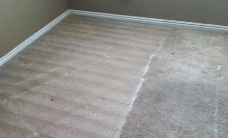 Blue Diamond Carpet and Upholstery Cleaning | 12424 Conservation Trail, Shelby Township, MI 48315 | Phone: (586) 745-0143