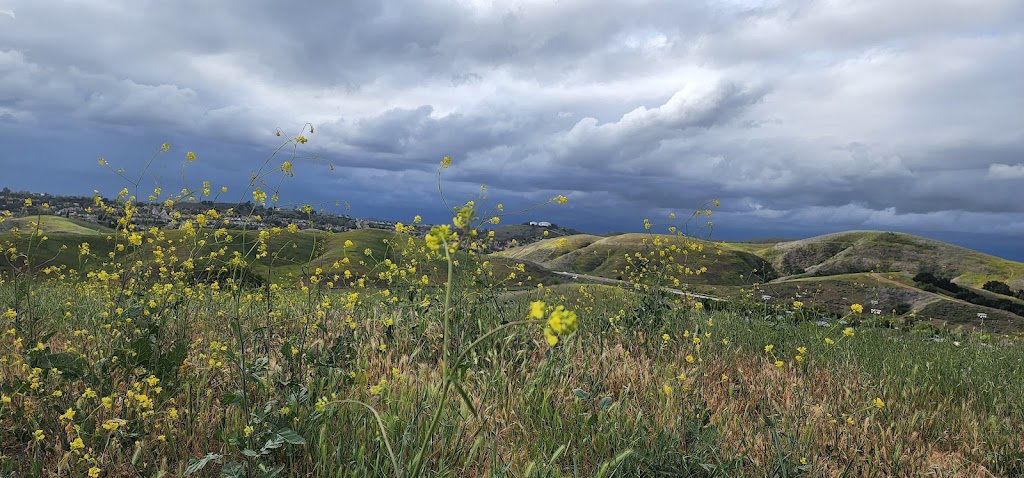 Grand Avenue Park Trailhead | Chino Hills, CA 91709, USA | Phone: (909) 364-2700