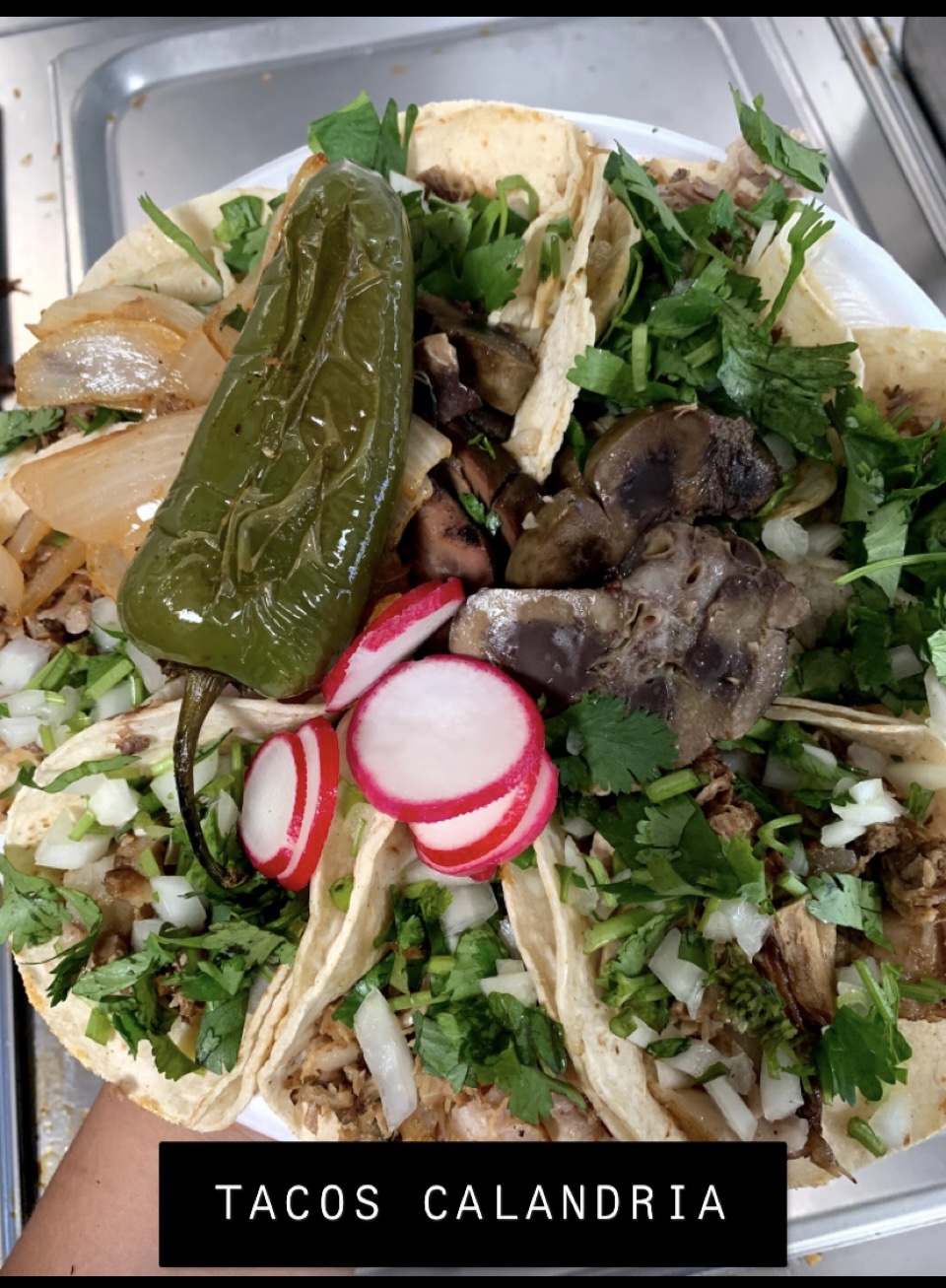 Tacos Calandria | 533 Perry St, Pontiac, MI 48342, USA | Phone: (248) 743-7552