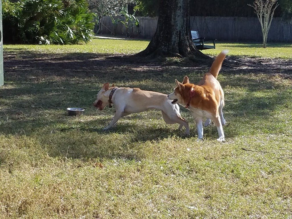 Otts Off-Leash Dog Sanctuary | 2103 3rd Ave SE, Ruskin, FL 33570, USA | Phone: (813) 645-6411