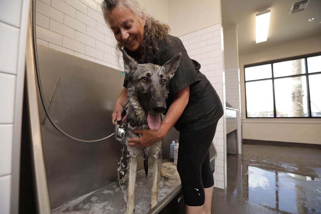 Pet Paradise Veterinary Clinic | 8795 Holly Springs Rd, Apex, NC 27539, USA | Phone: (919) 890-8850