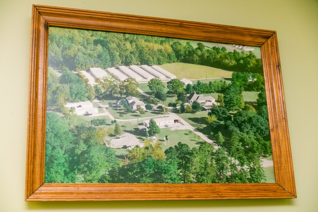 Best Mini Storage, Inc. | 26913 Homer Laurence Ln, Denham Springs, LA 70726, USA | Phone: (225) 667-3878