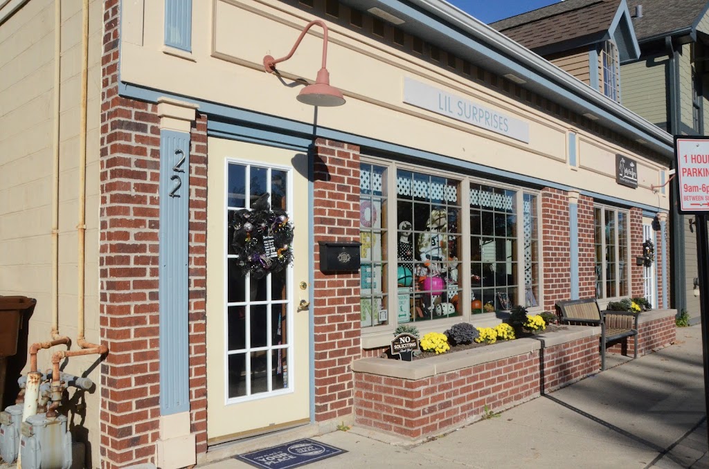 Lil Surprises | 22 Ash St, Frankfort, IL 60423, USA | Phone: (815) 464-9856