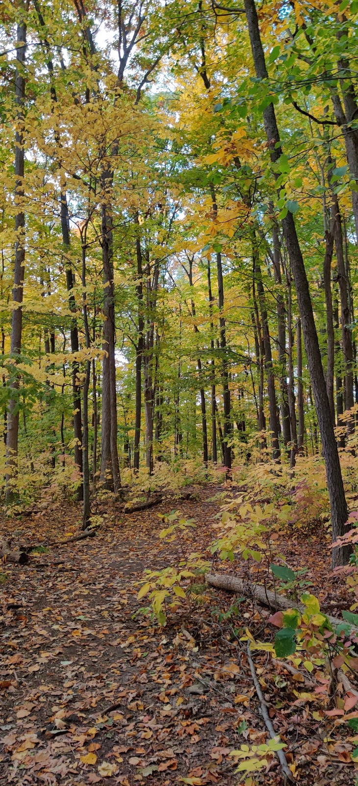 Arbor Hills Nature Area | 3528 Burbank Dr, Ann Arbor, MI 48105, USA | Phone: (734) 794-6000