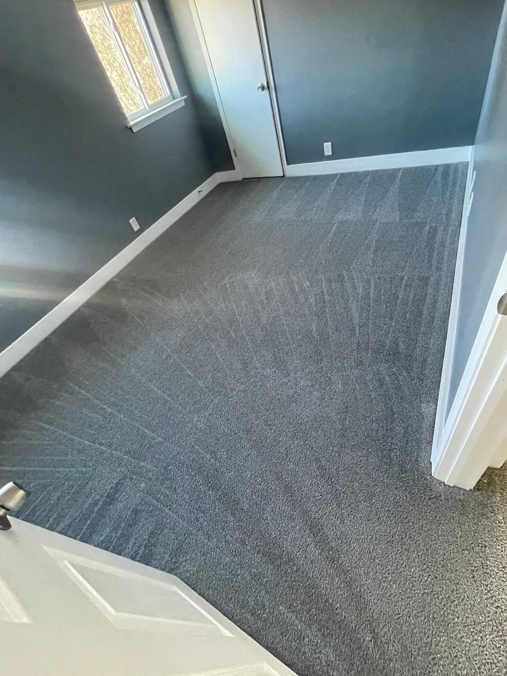 Lloyd Carpet Cleaning | 309 Wilson Dr, Lake Dallas, TX 75065, USA | Phone: (972) 532-1685