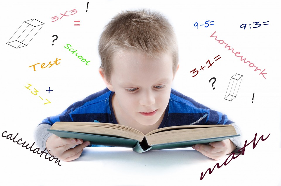 Learning Tank Math Tutoring Services | 91B Forest Dr, Springfield, NJ 07081, USA | Phone: (862) 881-9191