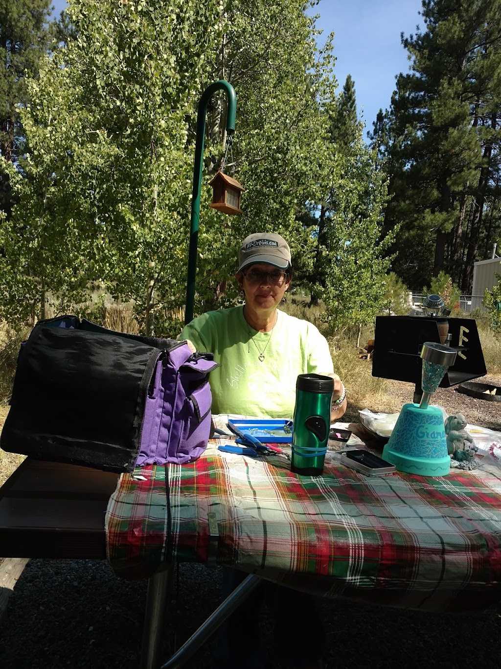 Martis Creek Campground | Alpine Meadow Camp, Truckee, CA 96161, USA | Phone: (530) 587-8113