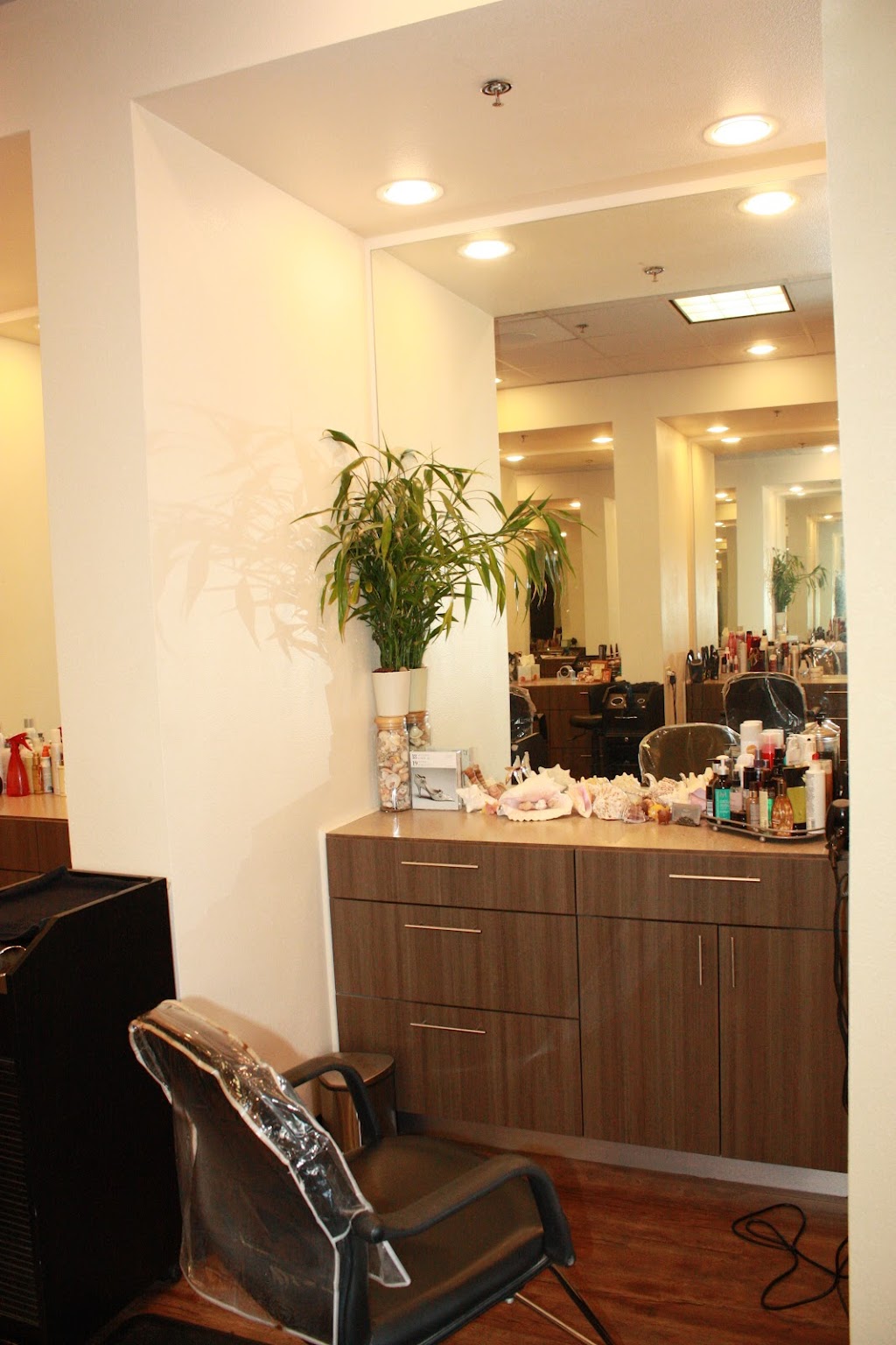 The Phoenix Salon | 4560 W Mockingbird Ln Suite 104, Dallas, TX 75209 | Phone: (214) 352-8411