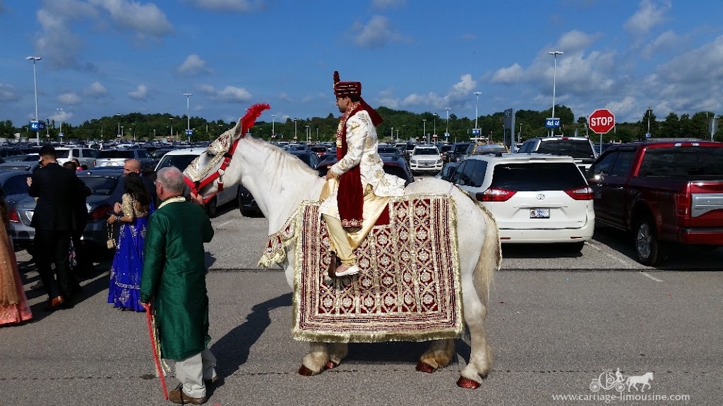 Carriage Limousine Service - Horse Drawn Carriages | 1436 John Campbell Rd, Wellsville, OH 43968, USA | Phone: (330) 532-3866