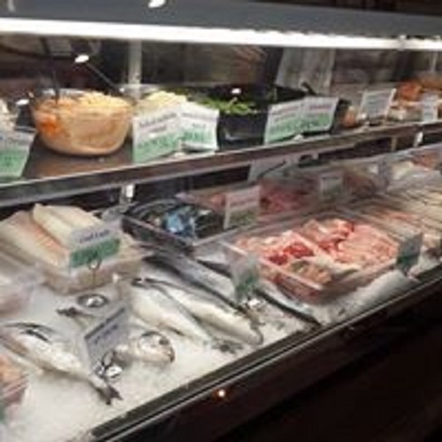 fin - your fishmonger | 2050 Western Ave, Guilderland, NY 12084, USA | Phone: (518) 452-4565