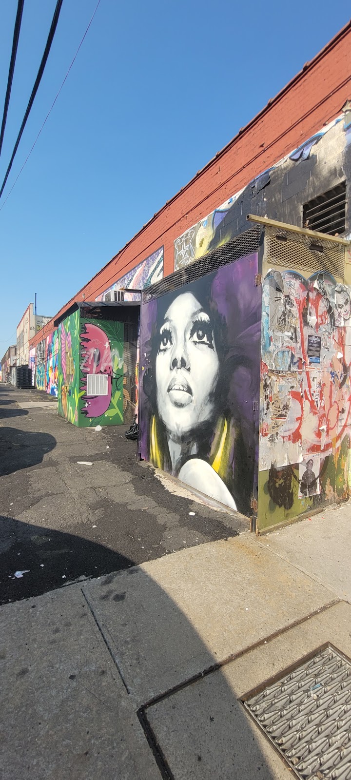 Danbro Studios | 260 Meserole St, Brooklyn, NY 11206, USA | Phone: (718) 273-9379