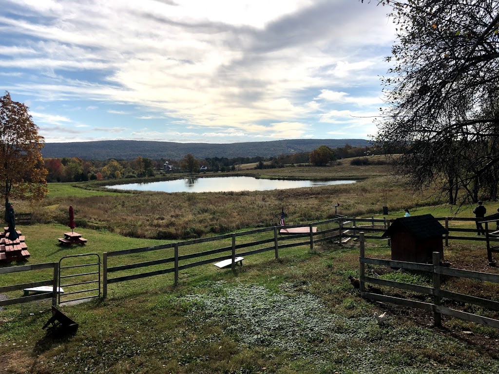 Apple Daves Distillery | 82 4 Corners Rd, Warwick, NY 10990, USA | Phone: (845) 772-1242