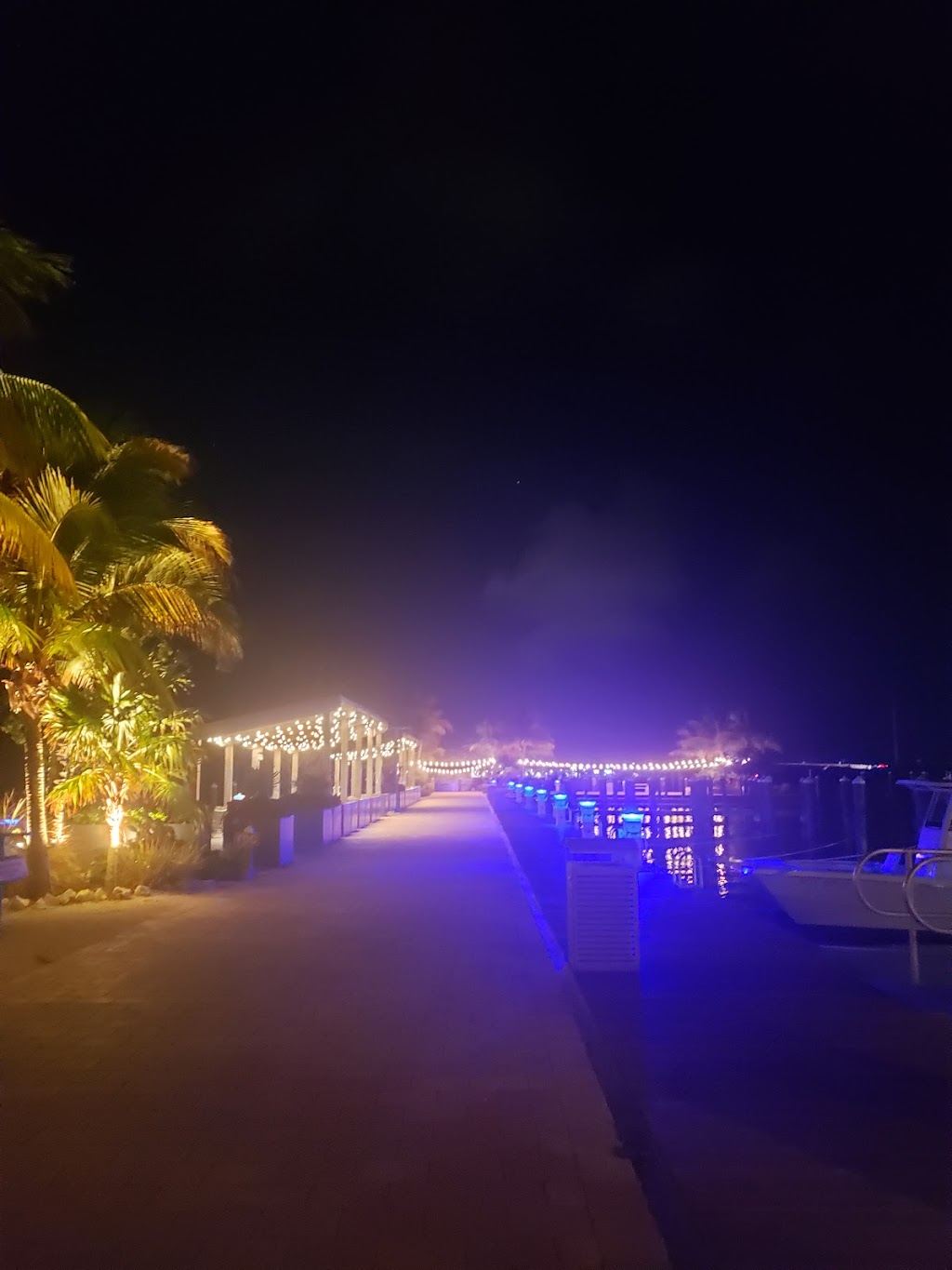 Tiki Bar | 84001 Overseas Hwy, Islamorada, FL 33036, USA | Phone: (305) 664-2321