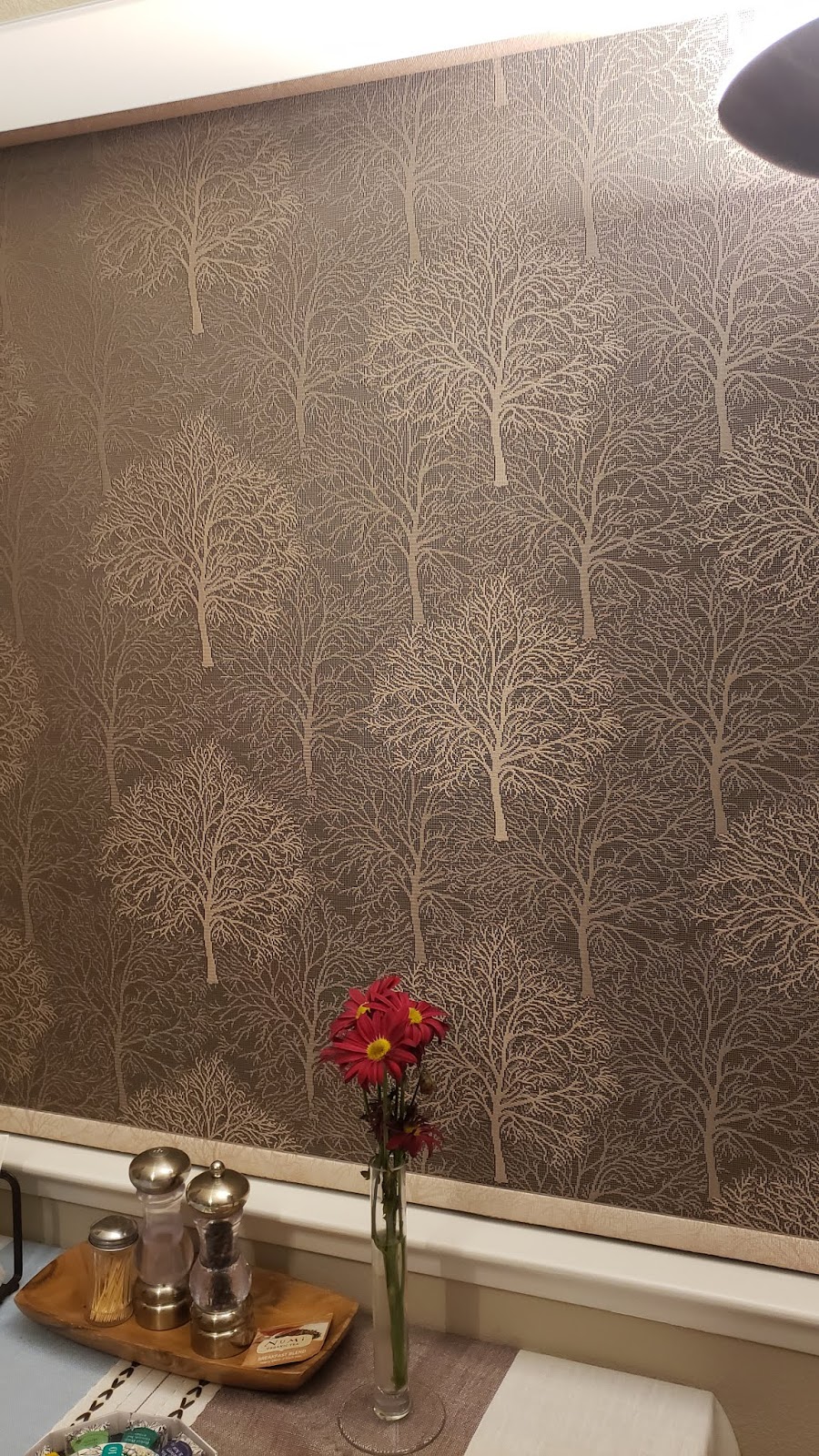Selenes Curtains | 820 Springbrook Dr, San Ramon, CA 94582, USA | Phone: (858) 367-9208