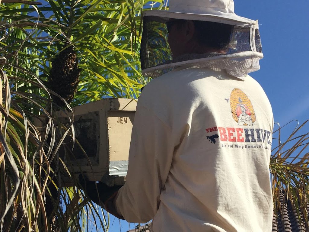 The Beehive Bee and Wasp Removal | 1142 E Hackamore St, Mesa, AZ 85203, USA | Phone: (602) 600-5382