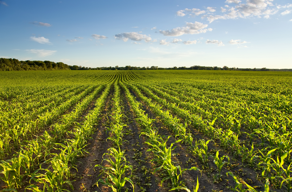 Diversified Crop Insurance Services | 8655 Penrose Ln Ste 200, Lenexa, KS 66219 | Phone: (866) 888-4183