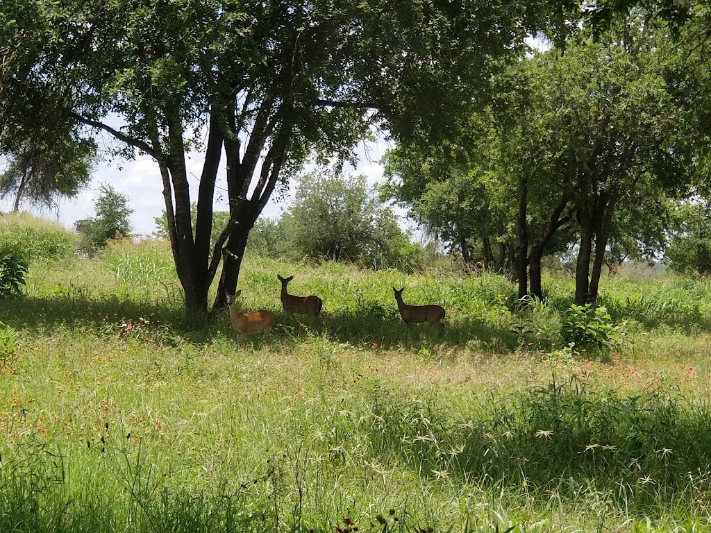 Shaffer Bend Recreation Area | 706 Co Rd 343A, Marble Falls, TX 78654, USA | Phone: (512) 473-3366