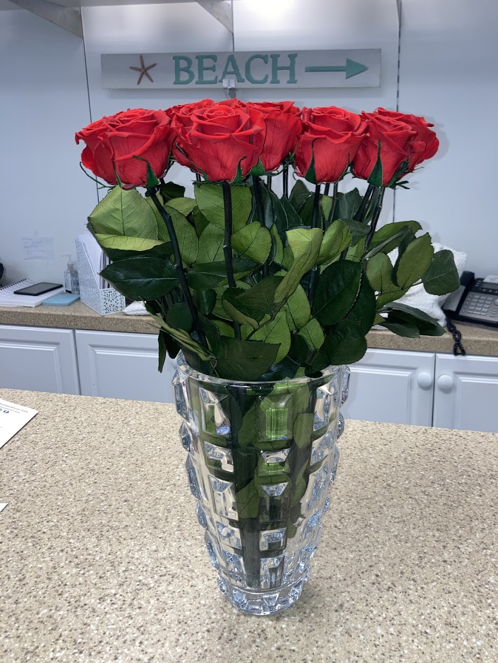 Great Shapes Swimwear | 20 E Mt Pleasant Ave, Livingston, NJ 07039, USA | Phone: (973) 736-4484