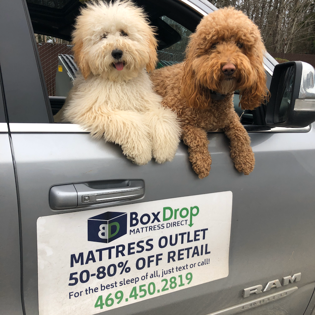 BoxDrop Mattress Black Diamond | 30741 3rd Ave #125, Black Diamond, WA 98010, USA | Phone: (425) 906-9003