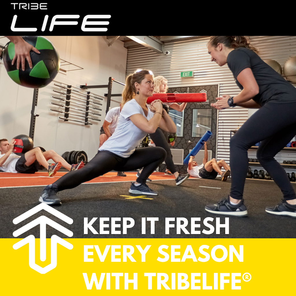 BIO Force Family Fitness | 16315 SW Barrows Rd, Beaverton, OR 97007, USA | Phone: (971) 238-0048