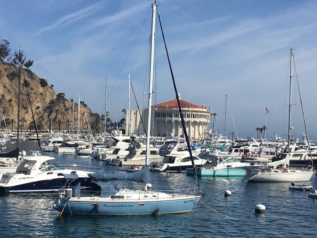 Bluewater Sailing | 13505 Bali Way, Marina Del Rey, CA 90292, USA | Phone: (310) 823-5545 Bluewater Sailing | 13505 Bali Way, Marina Del Rey, CA 90292, USA | Phone: (310) 823-5545
